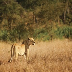 SUDAFRICA, UN ARCOBALENO DI VITA