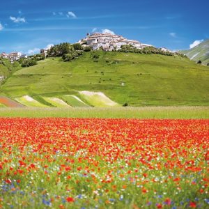 UMBRIA TRA NATURA E GUSTO