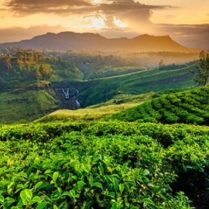 SRI LANKA, LA LACRIMA DELL’INDIA