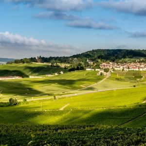 TRA LE COLLINE DELLO CHAMPAGNE