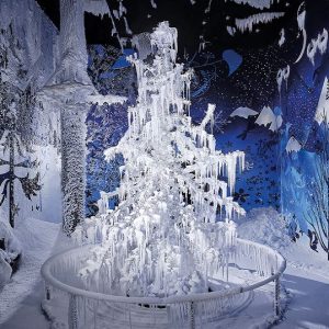 SWAROVSKI E INNSBRUCK