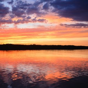 IL FASCINO DEL DELTA DEL PO IN NAVIGAZIONE