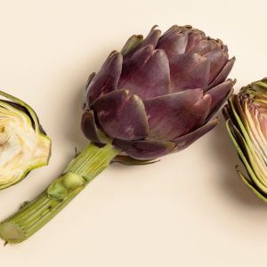 GIORNATA IN LAGUNA NEL SEGNO DEL CARCIOFO