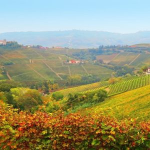 I PROFUMI DELLE LANGHE