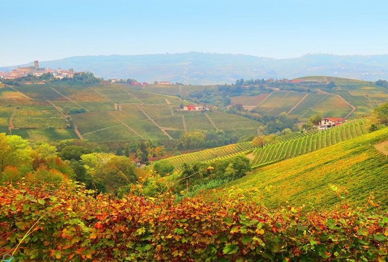 I PROFUMI DELLE LANGHE