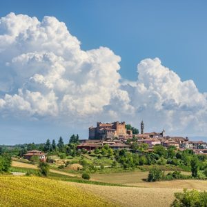 COLLINE DEL MONFERRATO
