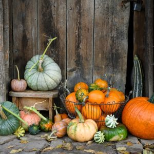 TRA LAGUNA VENEZIANA, SAPORI DI ZUCCA E TREVISO