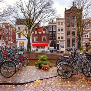 48 ORE AD AMSTERDAM