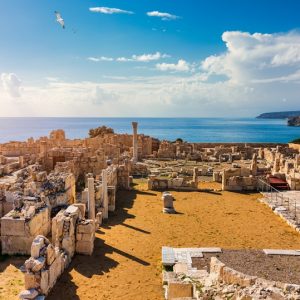 CIPRO, BELLEZZA E MAGIA SENZA TEMPO