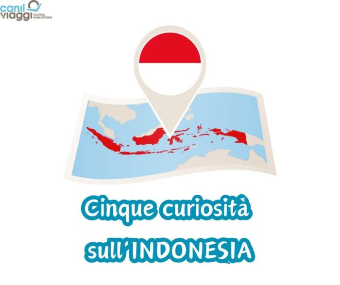 🌴INDONESIA: UN MONDO IN UN’UNICA AVVENTURA 🌋

Sai che l’Indonesia è il paese con più vulcani attivi al mondo?
Che ospita un vero drago vivente?
O che è formata da oltre 17.000 isole?

👉 Nelle immagini qui sotto trovi 5 curiosità sorprendenti su questo paese meraviglioso, perfette per farti venire voglia di partire… e noi abbiamo il viaggio giusto!

🌏 L’Indonesia è un mosaico di culture, paesaggi e tradizioni. È così vasta che si dice servirebbero trent’anni per conoscerla tutta, ma il nostro tour ti farà vivere un assaggio autentico e straordinario di questo angolo di mondo.

📍 Visiteremo tre isole indimenticabili:
🔸 BALI, tra spiritualità, risaie e templi
🔸 GIAVA, con i suoi vulcani e siti archeologici spettacolari
🔸 SULAWESI, più selvaggia e autentica, ricca di riti ancestrali

📅 DAL 11 AL 23 AGOSTO 2025
💰 PREZZO PROMO € 4.290,00 se prenoti entro il 30 APRILE

✈️ Tour organizzato con accompagnatore – voli, hotel, visite e tante emozioni incluse!

L’Indonesia ti aspetta… ed è molto più vicina di quanto pensi!

👉 https://www.canilviaggi.it/prodotto/gran-tour-dellindonesia/

Info & contatti
☎ 042430068
📧 info@canilviaggi.it
BUON VIAGGIO !!!
#canilviaggi #emozionicherestano