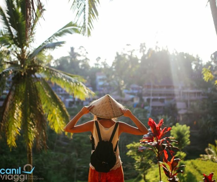 L’Indonesia ti aspetta.
E mentre fuori piove… tu prenoti il sole! ☀️🌴

Un GRAN TOUR emozionante tra Bali, Sulawesi e Giava, alla scoperta di templi maestosi, risaie infinite, villaggi sospesi nel tempo e tramonti che non si dimenticano.

📅 Dal 11 al 23 agosto 2025
☀️ Un viaggio tra natura, spiritualità e cultura
✈️ Volo da Venezia, guida parlante italiano, hotel 4/5*, tour completo
💶 PREZZO PROMO fino al 30 aprile: € 4.290,00
(acconto all’iscrizione € 1.500,00)

💭 Hai voglia di un viaggio che lascia il segno?
L’Indonesia ti aspetta

👉 https://www.canilviaggi.it/prodotto/gran-tour-dellindonesia/

Info & contatti
☎ 042430068
📧 info@canilviaggi.it
BUON VIAGGIO !!!
#canilviaggi #emozionicherestano