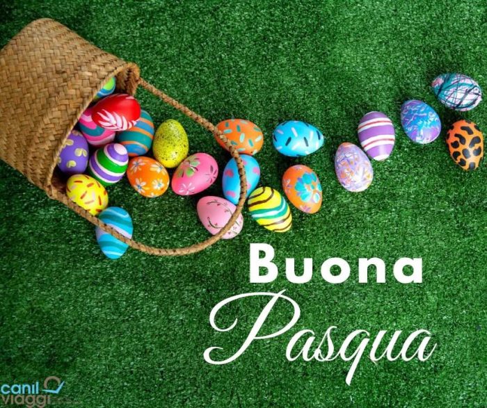 Buona Pasqua! 🐣
Che sia un giorno di pace, serenità e momenti speciali da condividere con chi ami.
Ti auguriamo di trovare in questa giornata un po’ di quella magia che rende la vita speciale…
proprio come un viaggio indimenticabile.

Da tutti noi, un sincero augurio di Buona Pasqua!