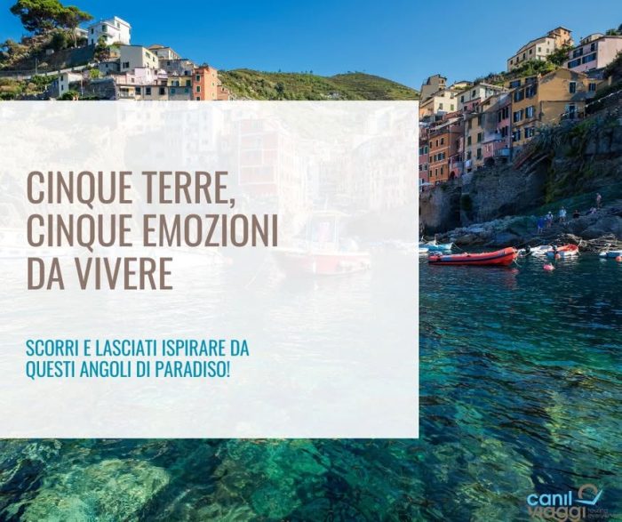 🎨 Dove i colori si fanno poesia

Le Cinque Terre non si spiegano, si sentono.

Si cammina tra case color pastello aggrappate alla roccia, profumo di limoni nell’aria, sguardi persi sull’orizzonte blu.
Ogni borgo ha un’anima:

🌺 Riomaggiore, intensa
🌅 Manarola, romantica
🌿 Corniglia, silenziosa
🎣 Vernazza, pittoresca
🏖️ Monterosso, solare

Qui il tempo rallenta.
🌊 Qui si respira bellezza.

👉 Scorri fino alla fine per scoprire le prossime partenze

Per info e costi, contattaci!
Info & contatti
☎ 042430068
📧 info@canilviaggi.it
BUON VIAGGIO !!!