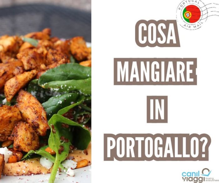 🇵🇹 PORTOGALLO: UN VIAGGIO DA GUSTARE FINO IN FONDO

Hai mai assaggiato un pastéis de nata appena sfornato?
Hai mai sorseggiato una Ginjinha in un vicolo di Lisbona o assaggiato una Francesinha calda, piccante, affacciato sul Douro?

🍮 In Portogallo, il viaggio inizia dai profumi.
Ogni piatto racconta l’anima di un popolo orgoglioso e nostalgico.
Ogni sapore è una storia che puoi vivere davvero… partendo con noi!

🥧 Pastéis de Nata – Il dolce simbolo di Lisbona
🐟 Bacalhau à Brás – Il baccalà che conquista tutti
🥪 Francesinha – Il panino più famoso di Porto
🍒 Ginjinha – Il liquore all’amarena che profuma di tradizione
🍷 Porto – Il vino che ha reso celebre il Douro in tutto il mondo

Tutto questo ti aspetta nel nostro viaggio in Portogallo.
Tra città romantiche, coste atlantiche e tradizioni autentiche.

📍Prossime partenze:
🔸 18 – 25 luglio 2025
🔸 04 – 11 ottobre 2025
🔸 01 – 05 novembre 2025 (MiniTour)

Per info e costi, contattaci!
Info & contatti
☎ 042430068
📧 info@canilviaggi.it
BUON VIAGGIO !!!
