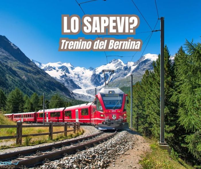 🚂 Lo sapevi? Il Trenino Rosso del Bernina è un capolavoro su rotaie!

Attraversa paesaggi da cartolina, tra ghiacciai scintillanti, ponti arditi e villaggi incantati... ma sai che:

✨ È Patrimonio UNESCO dal 2008, grazie al suo tracciato armonioso che si fonde con la natura alpina.

🔺 Raggiunge i 2.253 metri sul Passo del Bernina, uno dei punti ferroviari più alti d’Europa… senza cremagliera!

🌈 I finestrini si abbassano davvero! Così puoi goderti l’aria frizzante e scattare foto senza riflessi.

🚆 Il viaggio è un vero slow-travel: velocità media di soli 30 km/h, per goderti ogni curva, ogni scorcio.

❤️ Non è solo un treno: è un’esperienza sensoriale tra Italia e Svizzera, tra natura, ingegneria e poesia.

🎒 Vuoi salire a bordo con noi?

📆 Prossima partenza in arrivo!

📍Dal 12 al 13 luglio 2025
📍Dal 23 al 24 agosto 2025
📍Dal 04 al 05 ottobre 2025
📍Dal 06 al 08 dicembre 2025

Per info e costi, contattaci!
Info & contatti
☎ 042430068
📧 info@canilviaggi.it
BUON VIAGGIO !!!