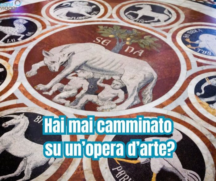 🎨 Hai mai camminato su un’opera d’arte?

A Siena, il Duomo apre le porte del suo pavimento “nascosto”, un capolavoro in marmo intarsiato che affascinò persino Vasari, definendolo:

Il più bello, grande e magnifico che mai fusse stato fatto.

📍 Weekend a Siena e in Val d’Orcia
📅 26 – 27 luglio 2025

Sarà un fine settimana tra arte, borghi e sapori autentici, a partire dalla magica atmosfera di Siena, con la sua Piazza del Campo e la Libreria Piccolomini.
Nel pomeriggio entreremo nel cuore della meraviglia: il Duomo e il suo pavimento, visibile solo in pochi periodi dell’anno.

🍷 Il giorno dopo ci attendono Pienza, la “città ideale” rinascimentale, e Montepulciano, tra palazzi storici e una gustosa degustazione di vini, formaggi e salumi locali.

💶 PRENOTA ENTRO IL 31 MAGGIO a € 330,00
👉 Poi € 360,00 fino a esaurimento posti.

Un viaggio breve… ma carico di meraviglia.

👉 https://www.canilviaggi.it/prodotto/siena-e-il-pavimento-del-duomo/

Per info e costi, contattaci!
Info & contatti
☎ 042430068
📧 info@canilviaggi.it
BUON VIAGGIO !!!