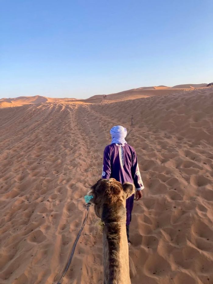 Un altro bellissimo viaggio si è concluso 🇲🇦
Dal 18 al 25 ottobre abbiamo esplorato il Marocco del Sud, attraversando paesaggi spettacolari, villaggi berberi, antiche Kasbah e l’energia unica di Marrakech.
Un’avventura ricca di emozioni, colori, sorrisi e condivisione 🧡
📸 Ecco qualche immagine di questa settimana indimenticabile!