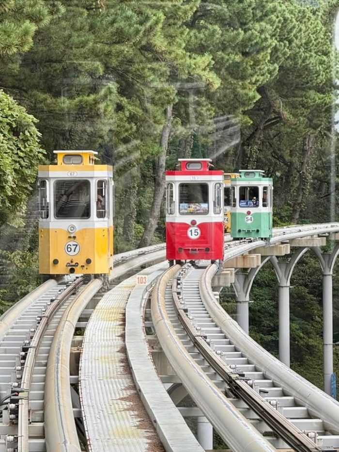 Un viaggio che ci ha portati dall’anima moderna di Seoul ai templi silenziosi di Gyeongju, tra antiche tradizioni, sorrisi sinceri e paesaggi che sembrano usciti da una poesia.
🇰🇷 COREA DEL SUD | 20–30 ottobre 2025
un’esperienza che porteremo nel cuore, fatta di emozioni autentiche e momenti indimenticabili.
💖 감사합니다 (kamsahamnida) a tutti i partecipanti per aver condiviso con noi questa meraviglia! 🌏